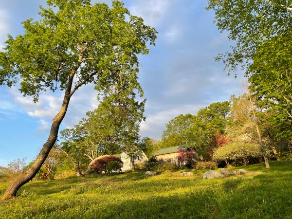 $1,550 / 1br - New England Charm Apartment Privacy Quiet Garden Fields Forest View (Williamsburg)64017047487746120