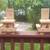 Squirrel Picnic Table Feeder 13 thumbnail