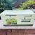 Ceouheia 12-Pod Indoor Hydroponic Garden System 1 thumbnail
