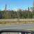5 acres, Kenai Spur hwy frontage 3 thumbnail