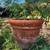 SOLD - Italian Large Terracotta Pot/ CHERRIE TOMATOES 21” W x 18” tall 5 thumbnail