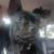 Puppy girl mix boston and chihuahua 3 thumbnail