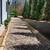 🌲🌼🌺JARELY’S LANDSCAPING & TREE SERVICE LLC🌼🌺🌳 14 thumbnail