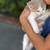 FREE 9 week old kittens FREE 10 thumbnail
