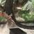 Gargoyle Gecko & Home 2 thumbnail
