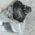 Starter motor 2 thumbnail