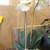 Pretty Orchid Arrangement, 30 in. tall 1 thumbnail