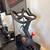 2020 Peloton Bike (2nd Gen) + Extras 2 thumbnail