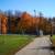 Beautiful Rooms for rent in North York (4 options) 2 thumbnail
