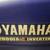 Yamaha RV Portable Generator/Invertor 4 thumbnail