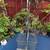Adjustable Stocking Rack with Basket - 34 in L x 20 in W x 70 in H 5 thumbnail