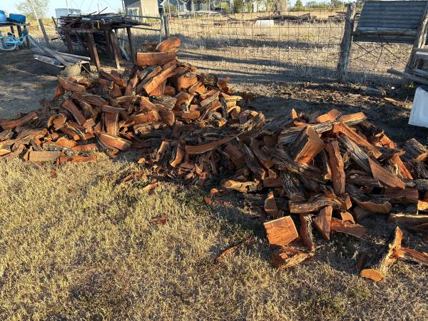 Unseasoned mesquite firewood 1
