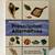 Prescription Alternatives 2003 Book by Earl L Mindell, RPh, PhD 1 thumbnail