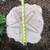 Cute Vintage Seashell Stepping Stones/Landscaping/Side Yard/Patio/Pool 2 thumbnail