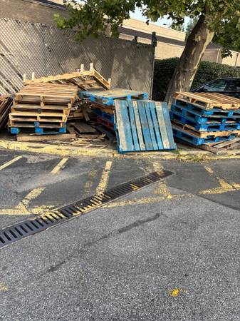 Free Pallets 1