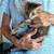 Free tabby kittens 1 thumbnail