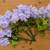 Wedding signs, decoration and accessories 7 thumbnail