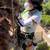 Tree climbing lessons 9 thumbnail