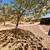 3 bdrm + den home on half-acre 18 thumbnail