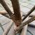 Mid century Franco Albini style rattan rocking horse B52 13 thumbnail