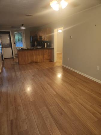 $1,150 / 2br - 900ft2 - Small Home for rent in Lake Lure NC (Lake Lure)64029211763330123