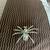 Spider pin 3 thumbnail