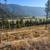 74.81 Acres of High-Potential Land 6 thumbnail