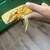 BEARDED DRAGON W/stuff 4 thumbnail