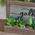 Succulent Arrangement 2 thumbnail