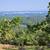 Elevated Acreage with Olympic Mountain & Island Views 1 thumbnail