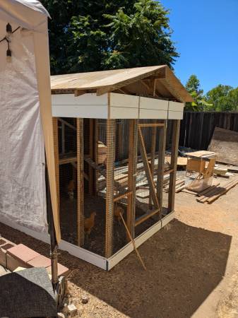 Chicken coop 1