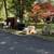 CURB ALERT FREE STUFF - SHELTON 2 thumbnail