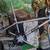 GT bmx bike 7 thumbnail