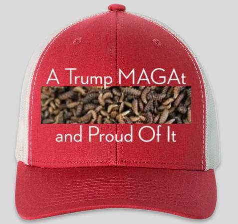 Trump MAGAt Ball Cap 1