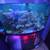90 gallon oceanic bowfront reef ready tank best offer 1 thumbnail