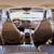 2000 Ford Expedition 8 thumbnail