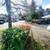 1 BR Gem: Full Laundry, Deck & Fitness Center Access! 8 thumbnail