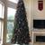 Balsam Hill Balsam Fir® 13.5' Christmas Tree with Candleight LED 1 thumbnail