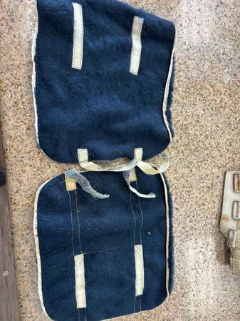 Blue Horse Leg Wraps 1