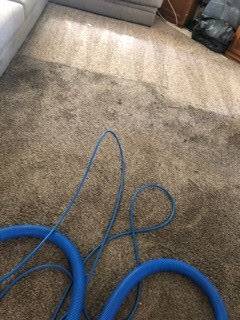 $29 Deep Carpet Cleaning Tile And Grout Carpet Repair Pet Stain & Odor 1