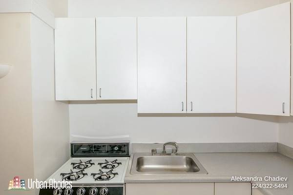$1,295 / 400ft2 - Centrally Located Studio, 1 Bath in Lakeview, Available: 10/1/2025 (Lakeview)63899123070979123