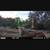 Deer hunting, axis,blackbuck 5 thumbnail