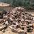 firewood for sale oak 3 thumbnail