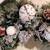 36" Snow Flocked Xmas Wreath White Ornaments Silver Glitter Pinecones 7 thumbnail