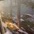 “Warmed by the View” by the late naturalist artist Stephen Lyman 4 thumbnail