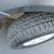 2015 Mercedes-Benz Sprinter 2500 HIGH CELING 170 W B -12 PASSENGER 17 thumbnail