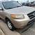 2007 Hyundai Santa Fe 1 thumbnail
