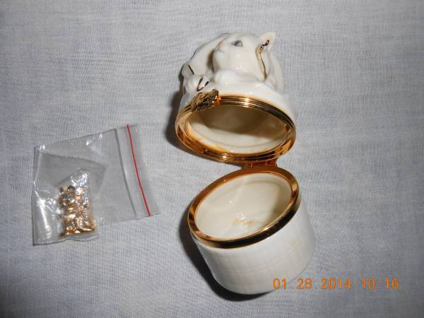 The CAT'S SUPRISE BOX!!!! 1