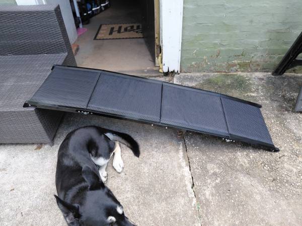dog pet ramp 1