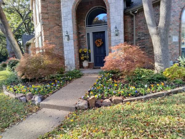 Winter color and leaf clean up. Excellent work excellent prices 1